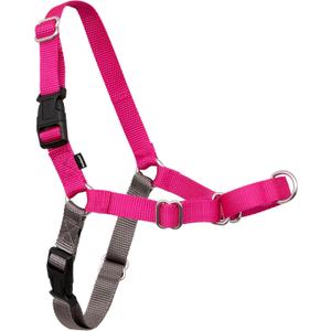 PetSafe Easy Walk Harness for Dogs - Pull-Free Walks - Patented Martingale Loop Design - Front Chest Leash Attachment - Adjustable Comfort Straps - Breathable Harness Design - Medium, Raspberry/Gray