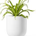 LE TAUCI 6 Inch Plant Pot, Ceramic Pot with Drainage Hole & Rubber Plug, Indoor Planter for Herbs & Small Houseplants, Cylinder Planter for Home Office, White