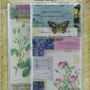 Tim Holtz Pocket Cards
