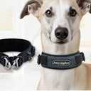 AnccoPlus Comfort Walking Dog Collar Size M Color Grey