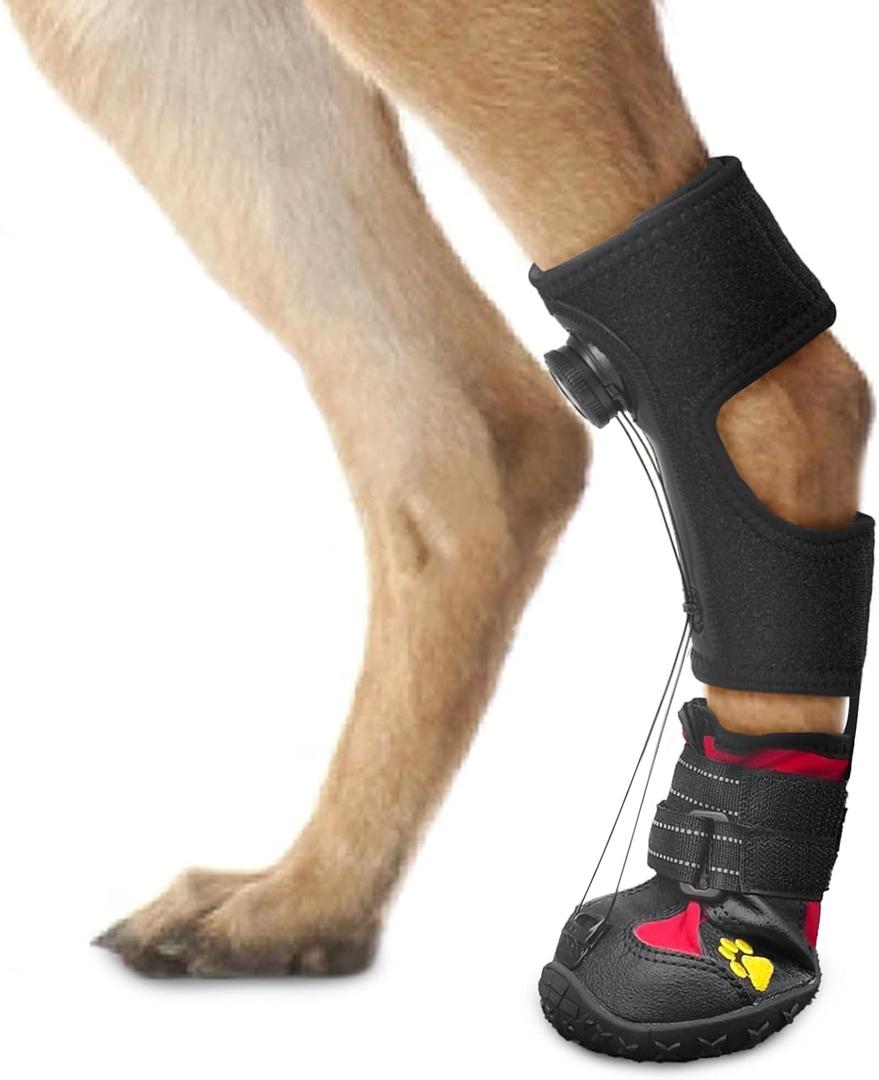 Drop Foot Brace with Reel(No Knuckling Boot Brace) for Dog - Corrective Dog Shoes to Safely Lift Toes for Foot Issues, Arthritis, and improving Walking gait in Dogs,Patent Pending(S)