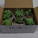 Der Rose Set of 6 Succulents Plants Artificial in Pots Small Fake Plants for Bedroom Aesthetic Living Room Shelf Bathroom Decor Office Desk Accessories (Green)