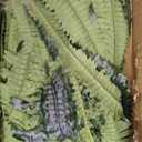 MARTINE MALL 2Pcs 48''/128 Leaves Artificial Ferns for Outdoors Look Real Fake Ferns, Large Faux Boston Ferns for Outdoor Planter Realistic UV Resistant Artificial Fake Plants for Porch Patio Hanging