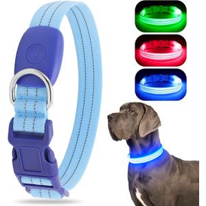 Light Up Dog Collar, LED Lighted Reflective Dog Collars for Night USB Rechargeable, Glow Collar for Dogs, Waterproof Adjustable Flashing Dog Collar for Night Safety (Blue, Small)