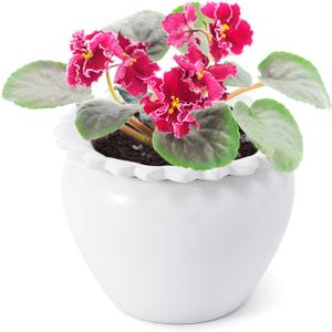 African Violet Flower Pot Ceramic Self Watering Flower Pot 6.5 * 4.6 * 4 inch Simple Plant Self Watering Pot Indoor Flowers High Absorption Herbaceous Flower Pots Modern Decor Pots (White)
