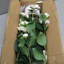 Jcezvnt 2 Pack Artificial Camellia Tree with White Pot, 24" Faux Potted Plants for Indoor Outdoor Decor, Tall Silk Greenery Plant for Home Office Living Room Balcony, White