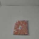 CXMEIFLY Fall Burnt Orange Outdoor Pillow Covers 18x18 Inch Set of 2 Aqua Teal White Dahlia Floral Decor Throw Pillows Modern Geometry Flower Decorative Cushion Cases for Sofa Couch Bed Decorations