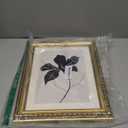 ARPEOTCY Vintage Gold Framed Wall Art Decor, 11x14 Inch Abstract Black Floral Prints, Black and White Wall Art for Living Room Bedroom, Minimalist Botanical Bathroom Decor Aesthetic