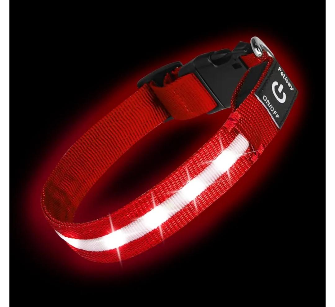 Super Bright LED Dog Collar - Fully Waterproof & Adjustable Glow Collar - USB-C Rechargeable for Night Walking, Safety - Flashing Lighted Collar for Dogs(Red,Large)