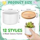 SiliFine 11 Sets DIY Ceramic Succulent Pots Painted Ceramic Flower Pots with Drainage Holes, Paints, Brushes, Palettes, Trays for DIY Event Adults Craft Birthday Gifts