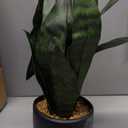 Beebel Artificial Plants Sansevieria Snake Plant with Black Plastic Planter Greenery Perfect Faux Agave Fake Plants in Pot for Home Office Indoor and Outdoo Dcor (22" Green)