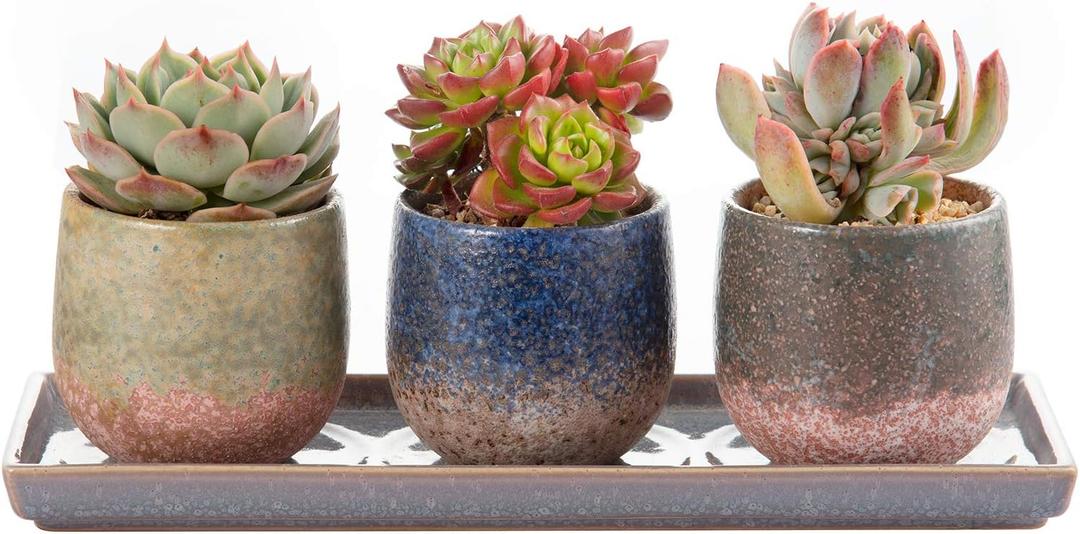 CEEFU 3 Inch Ceramic Succulent Planter Pot Planting Pot Flower Pots Small Planter Pots for Indoor/Outdoor Mini Plant, with Drain Hole and Ceramic Saucer
