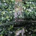 Crowye 24 Pcs 10 x 10 Inch Artificial Greenery Wall Panels – Boxwood Grass Backdrop Panels for Wedding, Photo Booth, Outdoor Garden & Indoor Wall Decor