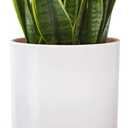 Wood Plant Stand, Mid Century Modern Planter Stand Rattan Flower Pot Stand, Low Short Plant Stands Indoor - Boho Rustic Wooden Stool for Plant Pot Holder, Fit 5-15 Inch Pot