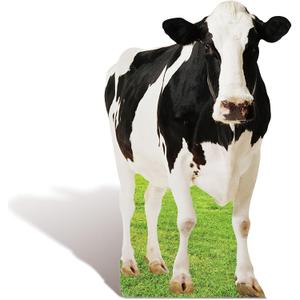 4FT Cow Cardboard Cutout Life-Size Animal Cutout Realistic Farm Animal Photo Booth Prop Decor for Parties, Farm-Themed Events, Classrooms, Birthday Decoration Supplies 29.76 x 47.24 Inches