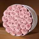 Prifroti 27 Flowers in a Luxury Suede Box, Birthday Gifts for Women, Preserved Flowers, Mothers Day Roses Gift for Mom, Dusty Rose