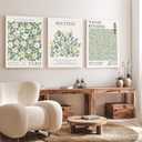 Induslyfe Large Framed Green Wall Art Canvas Decor Set of 3, Matisse Wall Art Framed Prints Posters Mid Century Modern Art, Aesthetic Floral Botanical wall art for bedroom, living room bathroom 18x24