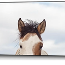 Giant Art Canvas 28"x22" Eyes, Frame not Included