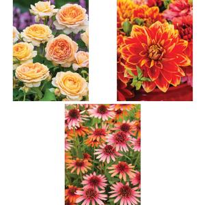 Bits and Pieces - Value Set of Three (3) - 300 Piece Jigsaw Puzzles for Adults - Large Piece 300 pc Colorful Garden Flowers Jigsaws Bundle - 18 x 24 Each