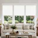 Birch Ivory Cordless Roller Shades Non See Through Blinds 33" W x 72" H