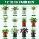 12 Herb Garden Kit Indoor, Complete Kitchen Window Herbs Seeds Growing Starter Set Kit Gardening Gift Birthday Housewarming Christmas Gift for Women Her Mom Men Home Chefs Gardener Beginner