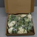 Lewondr Artificial Eucalyptus Garland with Flower, 2Pack 13FT Faux Floral Greenery Garlands Fake Flowers Vines, Maintenance-Free for Wedding Table Backdrop Party Centerpiece Room Decor, Champagne