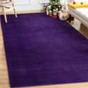 Andecor Soft Area Rug, 4x6 Purple Washable Rugs for Living Room Bedroom, Indoor Fluffy Carpets for Dorm Boys Girls Kids Room Nursery Home Decorations