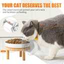 Lusifaco Shallow Elevated Cat Bowls,5.9 Inch Wide Raised Ceramic Cat Dishes with Bamboo Stand, Whisker Friendly Pet Water or Food Plates Feeding Station for Indoor Cats, Kitten(White,Set of 1)