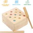 Boxiki kids Wooden Montessori Toys for Babies, Toddlers & Kids, Fine Motor Skills, Magnetic Worm Game for 3 Years Old