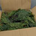 9FT Christmas Garland, Cedar Garland -Realistic Greenery Cypress Pine Garland with Pinecone for Mantle Table Railing Fireplace Indoor & Outdoor Christmas Decoration