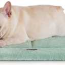 MADE 4 PETS Dog Crate Pad Bed for Medium Dogs, Washable & Reversible, Anti-Slip Kennel Mat for Cozy Sleeping, Soft Fluffy Dog Bed for Indoor & Outdoor Use, 29"x21", Green