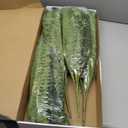 FOREST PRINCE 35" Fake Ferns, 4 Large Artificial Bonston Ferns Bushes Plants with 39 Fronds for Outdoors Garden Patio Porch Entrance Low Maintain Home Decor