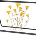 REDHUGO Glass Pressed Flower Frame Handmade, Glass Floating Picture Frames Tabletop Brass Photo Frame for DIY Dried Flowers Home Plant Specimen, Rectangle Horizontal 46 inches,Black (FRAME ONLY) (6L" x 4W")