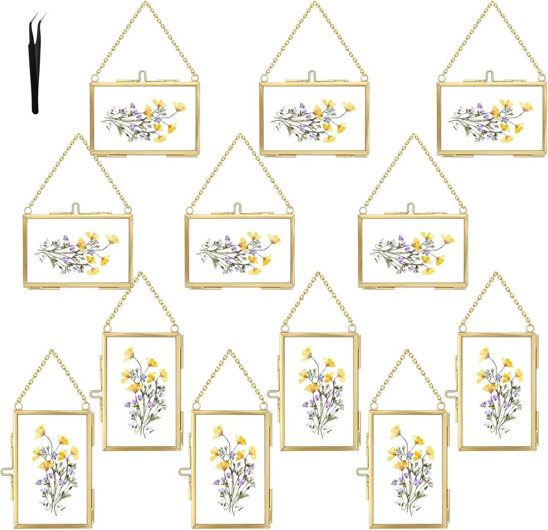 12 Pcs Double Glass Frame for Pressed Flowers,Floating Hanging Photo Christmas Ornaments Frame Brass Frames with Chain for Wall Display Gallery Artwork,Clear Vertical Horizontal Display for Botanical Art,Picture,Stamps,Gallery Decor,Gold