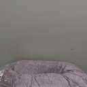 Shredded Memory Foam Body Pillow, Pregnancy Pillows for Sleeping, Maternity Pillow for Pregnant Women, Memory Foam Filling U Shaped Body Pillow with Velvet Cover (Dark Purple, 60 inch)