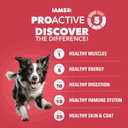 IAMS Proactive Health Dry Dog Food, Adult Dog Food Dry Recipe, Lamb & Rice, 30 lb. Bag (EXP 10/23/26)