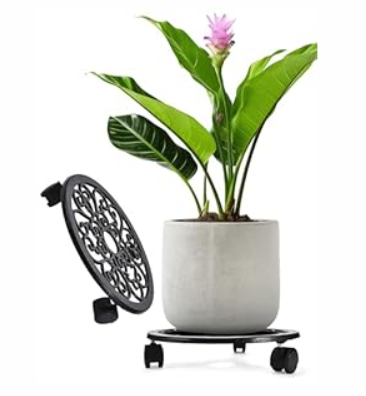 2WAYZ Plant Stand with Wheels - Heavy-Duty Rolling Plant Caddy - Dolly Base with Roller for Large Potted Plants and Flower Pot - Ideal for Indoor and Outdoor Planters - Set of 1 - Black