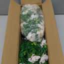 Artificial Hanging Flowers for Outdoors, 2 Pcs UV Resistant Artificial Outdoor Plants No Fade Fake Hanging Plant with Silk Flowers for Outdoor Planters for Home Garden Porch Yard Decor,Double White
