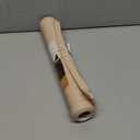 Neater Pet Brands Neater Mat Pet Mats for Food and Water, Cat & Dog Bowl Mat Waterproof Silicone, Feeding Tray, Dog Food Mats for Floors, Placemat w/ Raised Edge for Under Bowls, 19” x 12”