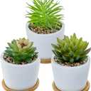 MyGift Assorted Artificial Succulent Plants - Decorative Fake Desert Plants with Pebble Fillers in White Ceramic Pots with Bamboo Saucers, Set of 3 (Round Assortment 3)