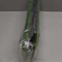 Premium Golf Hitting Mat, 10mm Foam Padding with Rubber Backing Golf Mat, Golf Practice Mat for Indoor and Outdoor Training, Dual-Turf Mat