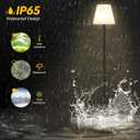Gewiny Outdoor Floor Lamp Solar Powered Outdoor Lamps for Patio Waterproof,Rechargeable Indoor Cordless Floor Lamp with Light Sensor,Dimmable Warm White+RGB LED Outdoor Lamp for Lawn,Pool,Garden.