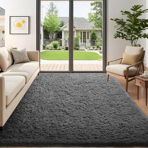 Ophanie 5x7 Area Rugs for Living Room Grey, Fluffy Shag Large Fuzzy Plush Soft Rug, Gray Shaggy Floor Big Carpets for Bedroom Nursery, Kids Home Decor Aesthetic