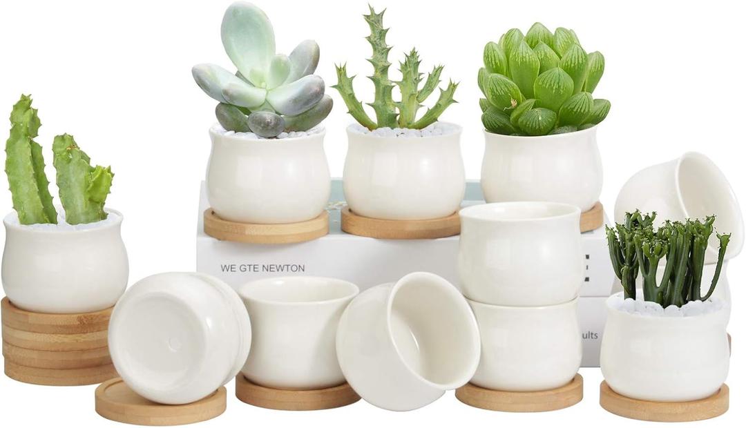ZOUTOG 12 Pack Succulent Pots, 2.6 Inch Mini Ceramic Pots for Flower or Cactus Plants with Drainage Hole,Plants Not Included