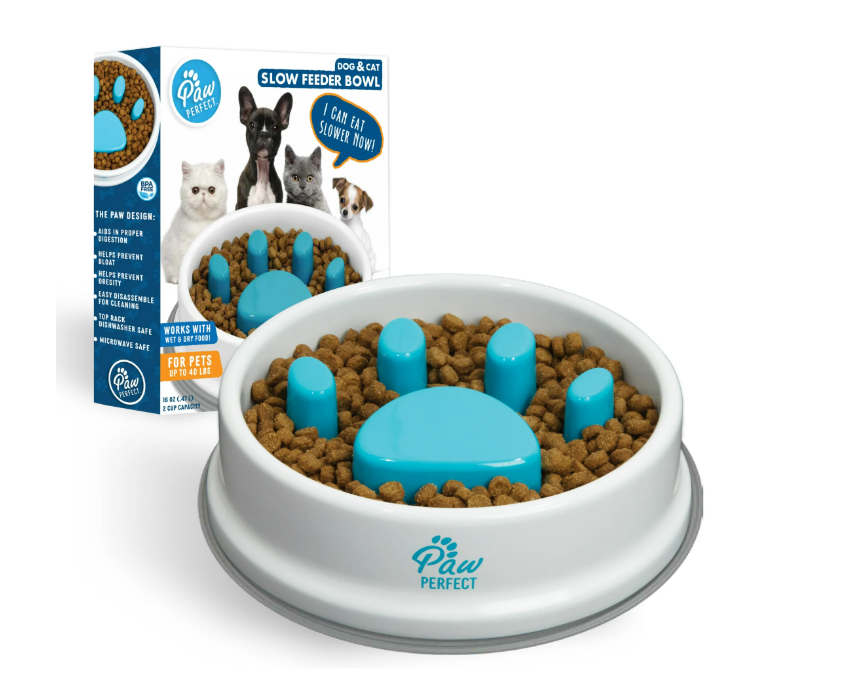 Paw Perfect Fun Feeder Slo Bowl, Slow Feeder Dog Bowl, Medium/Mini, Turquoise