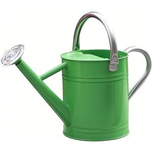 Metal Watering Can, One Gallon Watering Cans Stainless Steel for Outdoor Indoor Garden Plants Watering (Stainless Steel Handle Green)