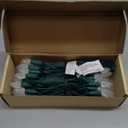 C3 Christmas Lights 50 Cool White LED String Lights, 120V UL, 17FT Green Wire Xmas Lights for Indoor & Outdoor Use, Trees, Pathway, Holiday Party Decorations