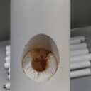 Coat Rack, Freestanding Coat Rack with 8 Hooks and 3 Adjustable Size Tree Coat Racks for Bedroom, Hallway, Entrance, Office, for Hats, Coats, Scarves, Handbags (1 PC, White)