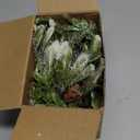 6.5FT Christmas Garland with Lights & Timer, 30 LED Pre-lit Lighted Greenery Olive Garland for Mantle, Battery Operated White Berry Garland with Snow Pinecone for Table Fireplace Door Stairs