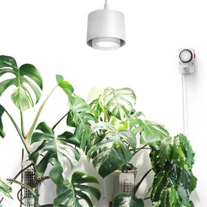 Barrina TR40 Hanging Plant Lights for Indoor Growing, 40W 5000K Full Spectrum, Adjustable Beam Angle (15-60), High PPFD, Spotlight Grow Light with Timer for Indoor, Large Tall Plant, Flowers, White